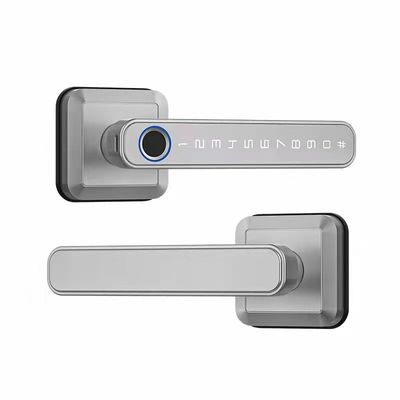 WiFi συνδεδεμένο Bluetooth Εισόδου κλειδαριού Χέρι για σύγχρονη απλότητα στυλ κλειδαριού πόρτας