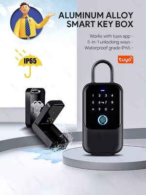 Σπίτι Ξενοδοχείο Γραφείο WiFi συνδεδεμένο έξυπνο κλειδί Tuya Δίκτυο Ηλεκτρονικό κωδικό πρόσβασης Θήκη μεταλλικής πύλης γυαλί IP65 αδιάβροχο
