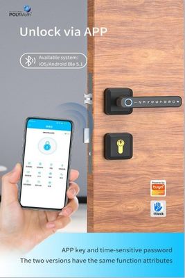 Πύλη ξύλου Αποτύπωμα δακτύλου Password Smart Lock Γρήγορη αποκλειστική ψηφιακός κωδικός WiFi σύνδεση