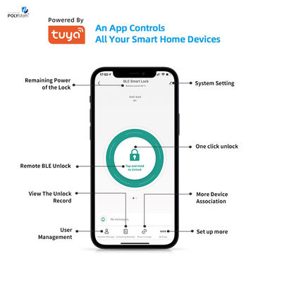Bluetooth Network Fashionable TUYA Smart FrigerPrint Cylinder Lock for Bedroom Door Το κλειδί του κυλίνδρου για το δωμάτιο
