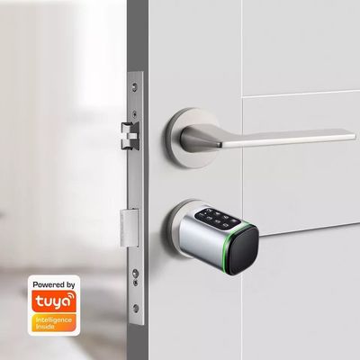 Ασφαλίστε την ασημένια πόρτα σας με το Tuya Fingerprint Mini Digital Cylinder Lock