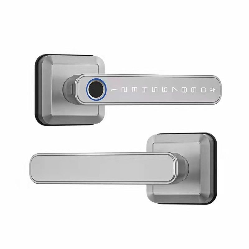 Τύπος-C Ηλεκτρική τροφοδοσία WiFi Bluetooth Smart Home Lock με δακτυλικό αποτύπωμα Ασφάλεια χωρίς κλειδί
